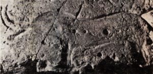 Kam"jana Mohyla petroglifo di un mammut o un toro